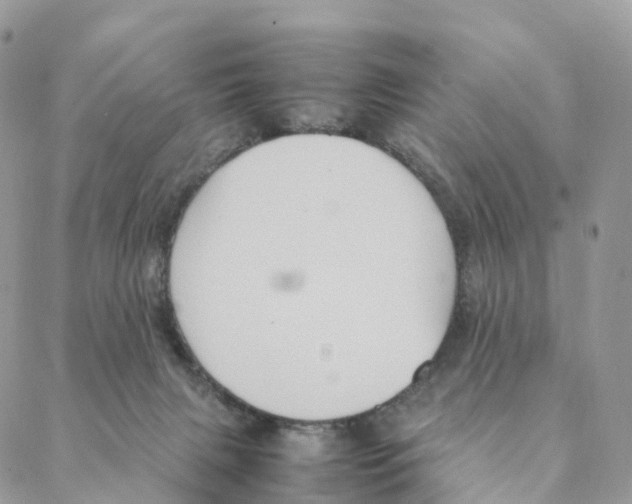 X0000088210079200706121816