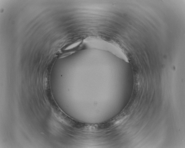 X0000088210080200706121816