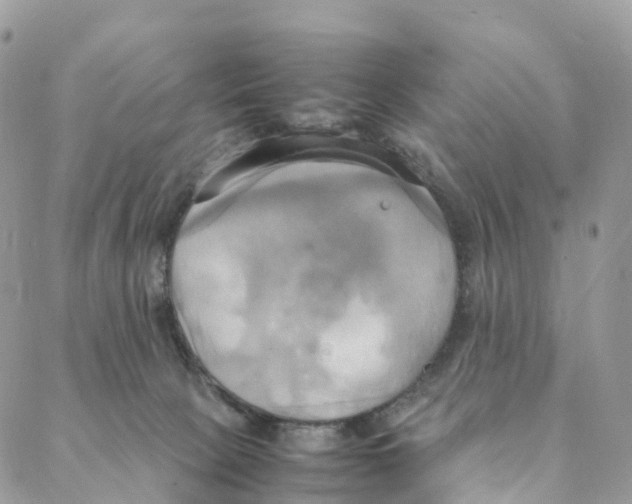 X0000088210081200706121816