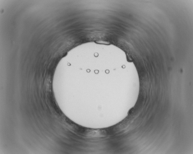 X0000088210083200706121816