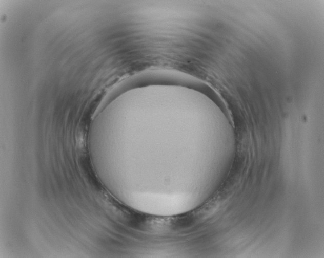 X0000088210084200706121816