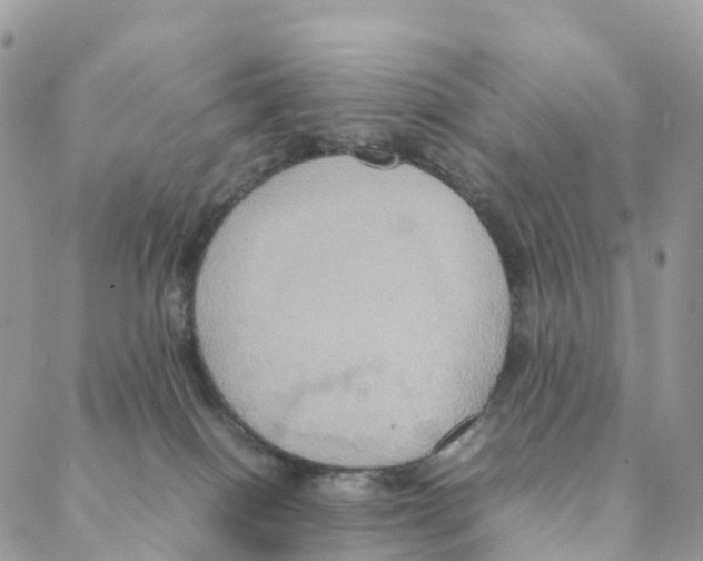 X0000088210086200706121816