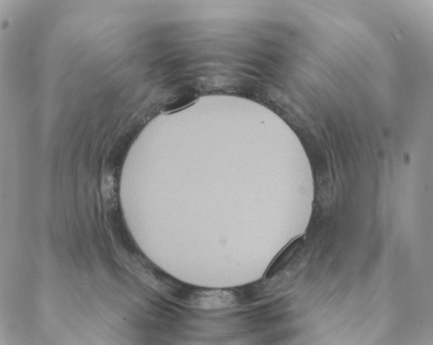 X0000088210087200706121816