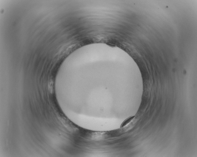 X0000088210090200706121816