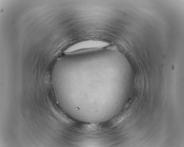 X0000088210092200706121816