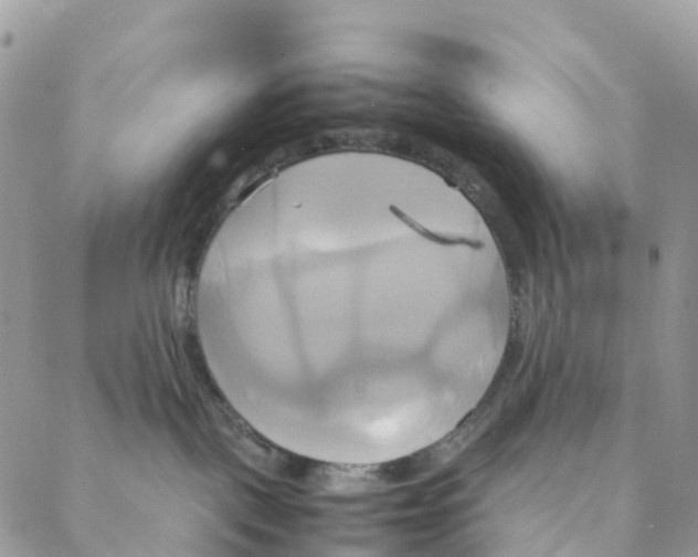 X0000088210093200706121816