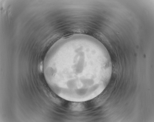 X0000088210095200706121816