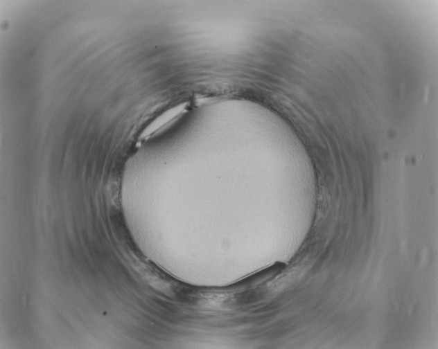 X0000088210096200706121816