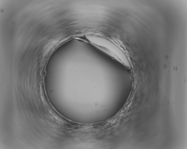 X0000088210097200706121815