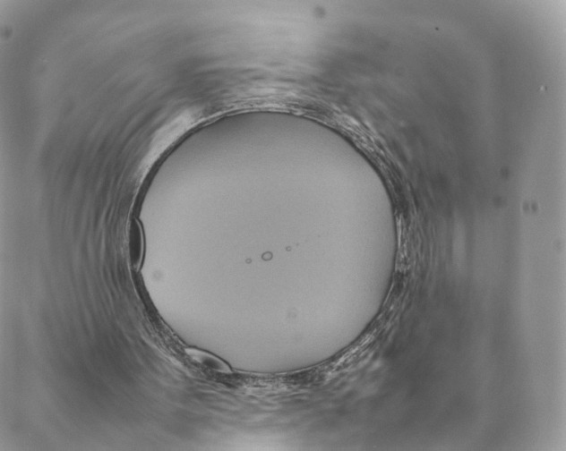 X0000088210099200706121815