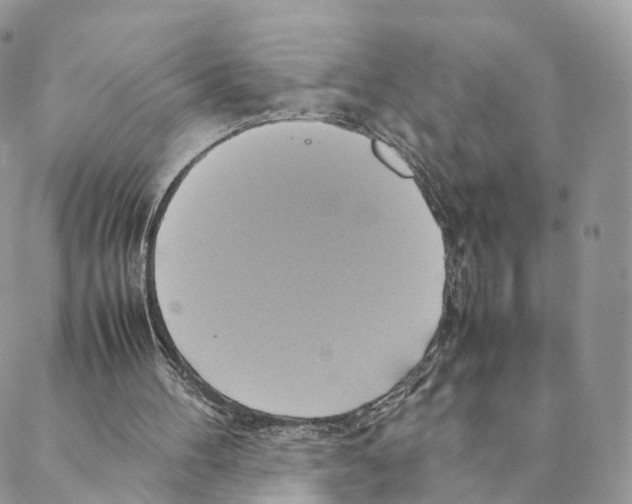 X0000088210100200706121815