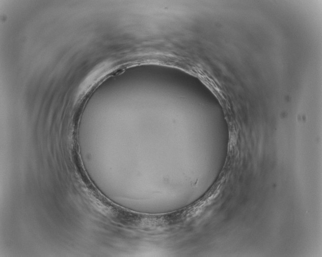 X0000088210101200706121815