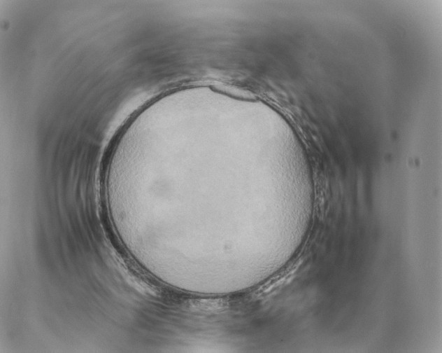 X0000088210102200706121815