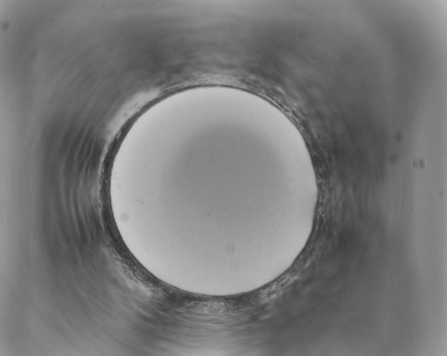 X0000088210104200706121815