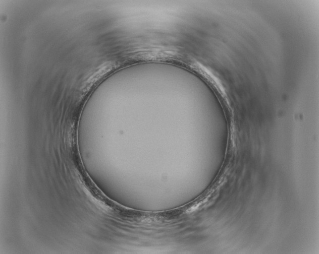 X0000088210105200706121815