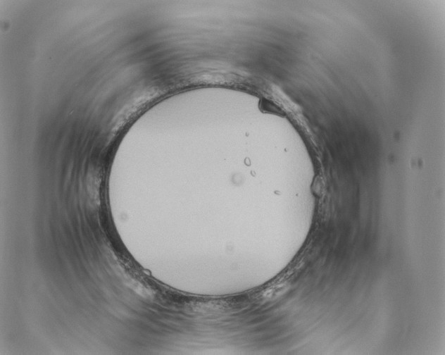 X0000088210106200706121815