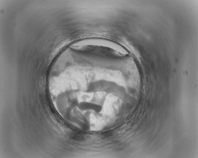 X0000088210107200706121815