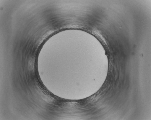 X0000088210108200706121815