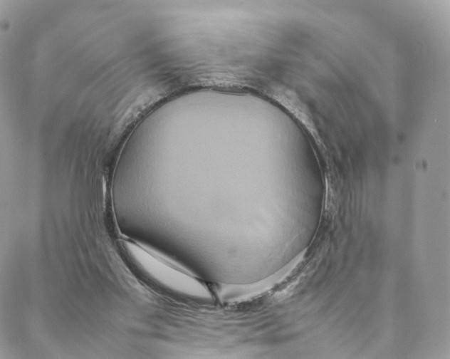 X0000088210109200706121815