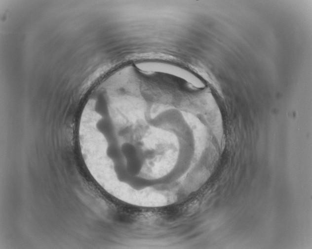 X0000088210111200706121815