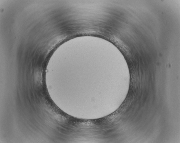 X0000088210112200706121815