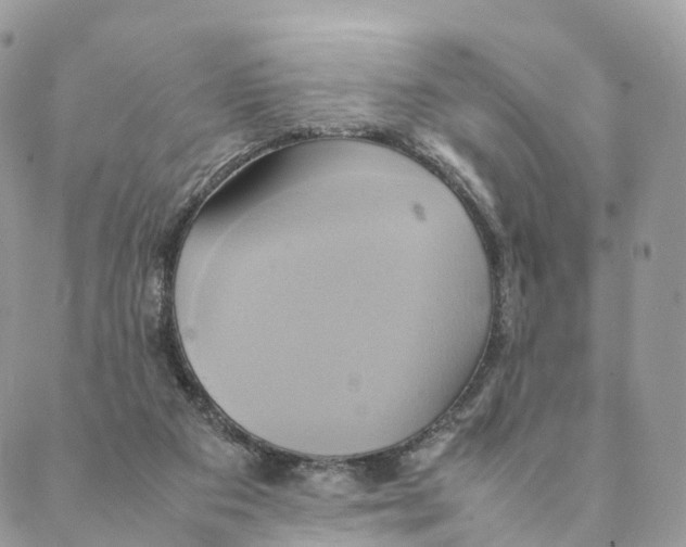 X0000088210113200706121815