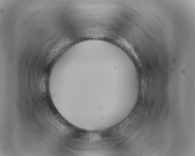 X0000088210114200706121815