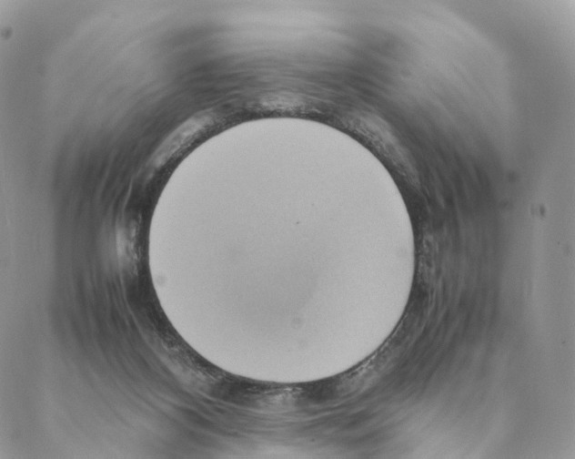 X0000088210116200706121815