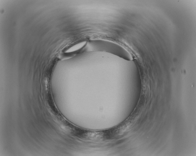 X0000088210117200706121815