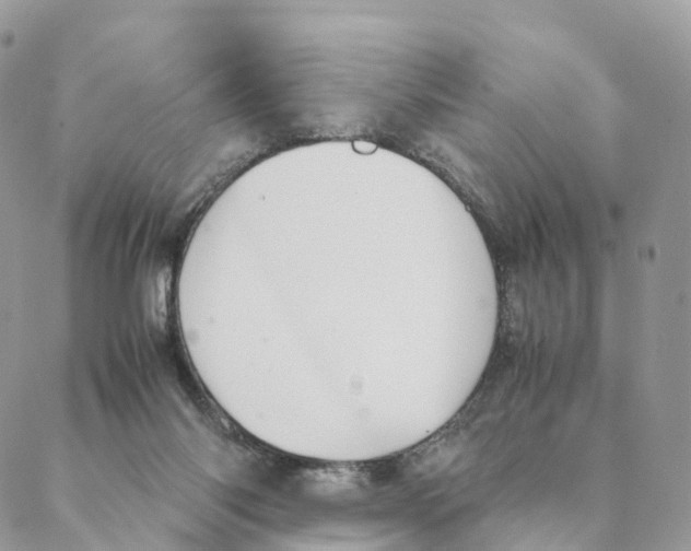 X0000088210118200706121815