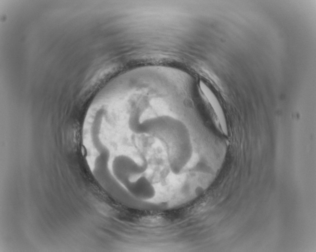 X0000088210119200706121815