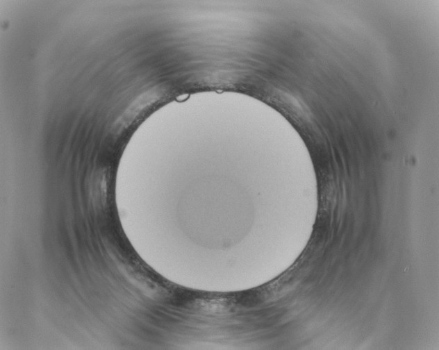 X0000088210120200706121815