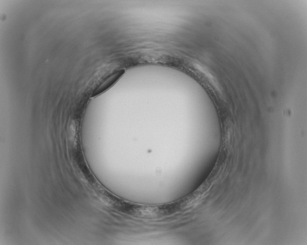 X0000088210121200706121815