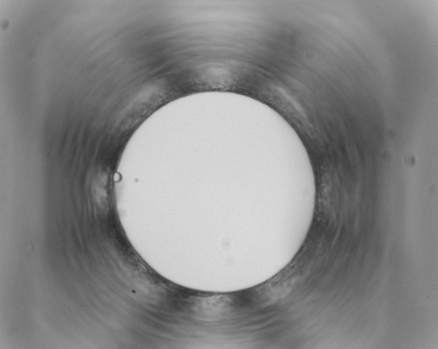 X0000088210122200706121815