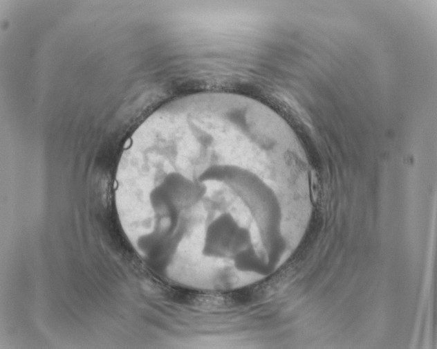 X0000088210123200706121815