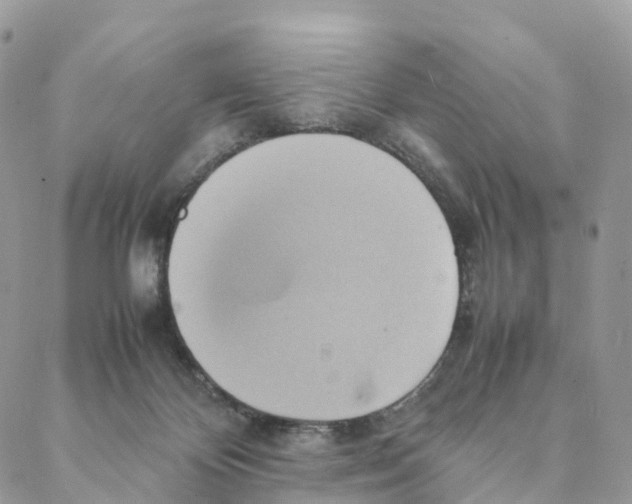 X0000088210124200706121815