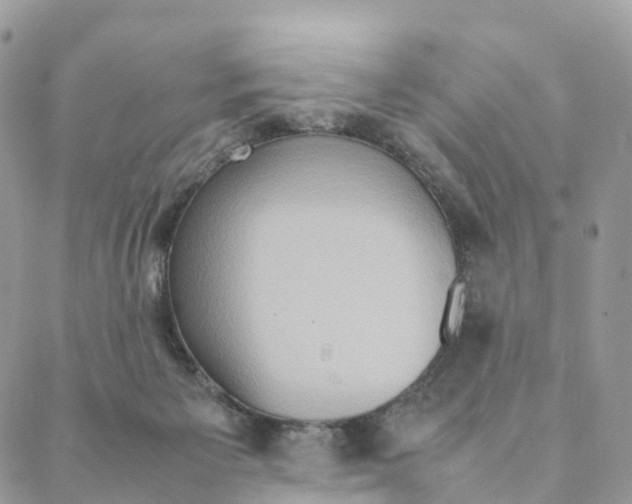 X0000088210125200706121815