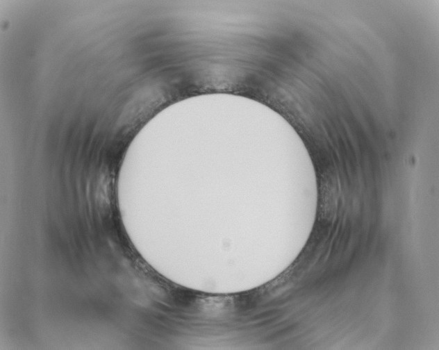 X0000088210126200706121815