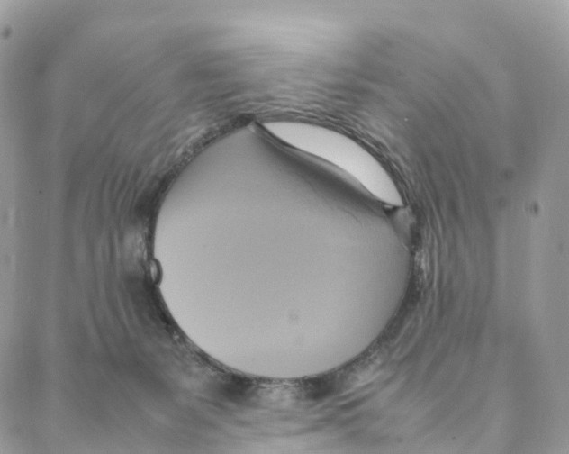 X0000088210127200706121815