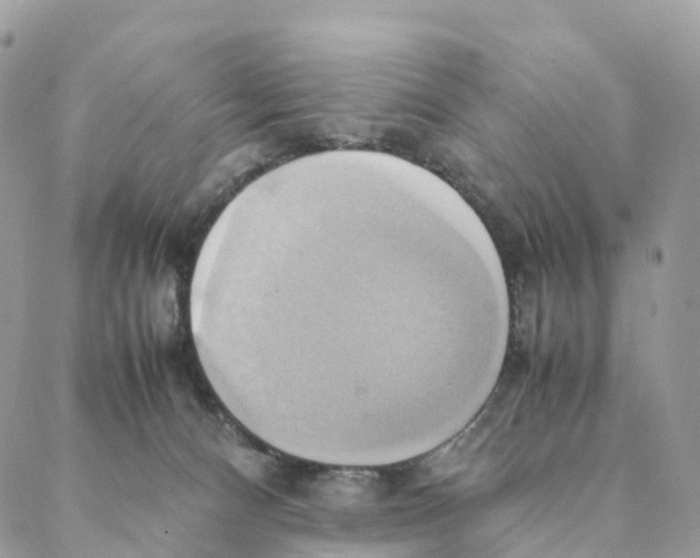 X0000088210128200706121815