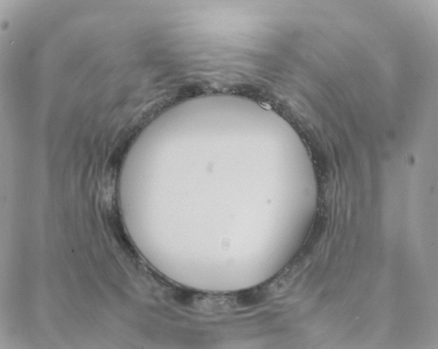 X0000088210129200706121815