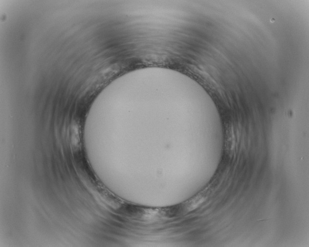 X0000088210130200706121815