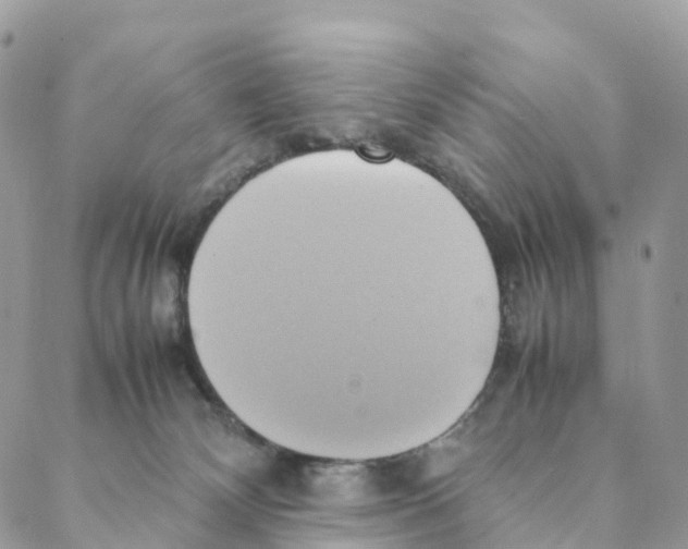 X0000088210132200706121815