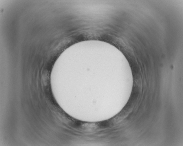 X0000088210133200706121815