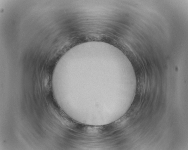 X0000088210134200706121815