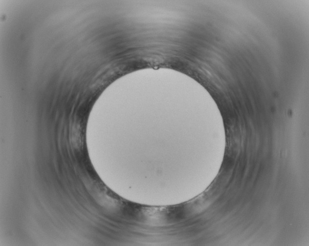 X0000088210136200706121815