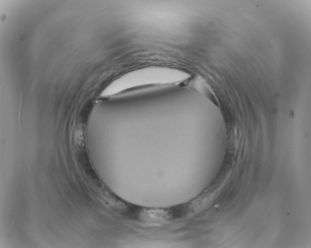 X0000088210137200706121815