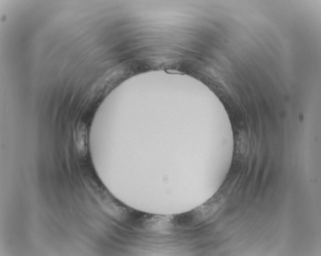 X0000088210138200706121815