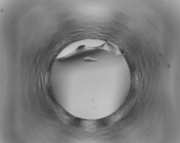 X0000088210139200706121815