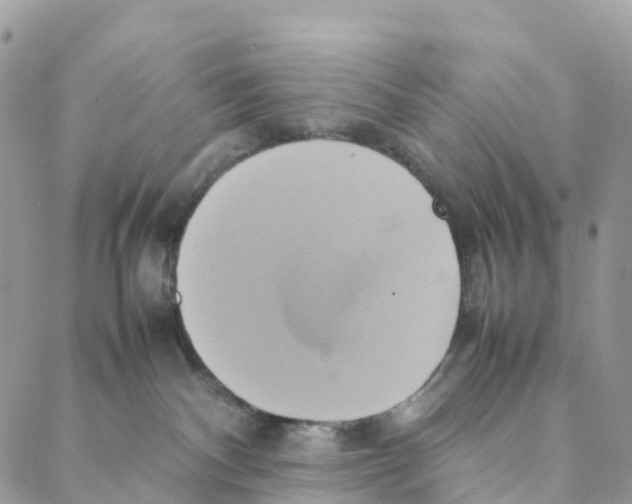 X0000088210140200706121815